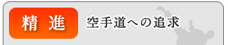 精進:空手道への追及