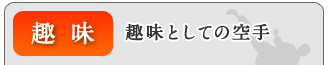 趣味:趣味としての空手